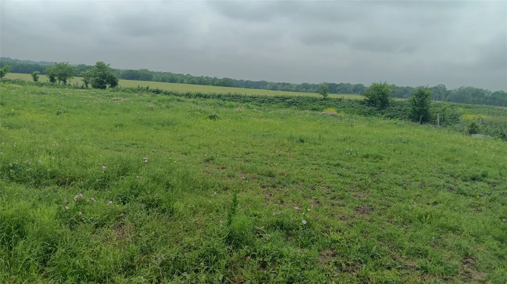 CR494N Chilton, TX 76632