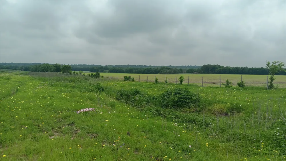CR494N Chilton, TX 76632