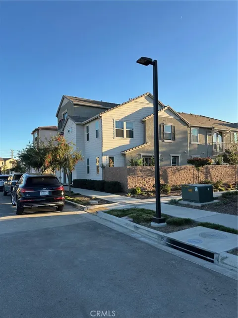 1703 Almond Tree