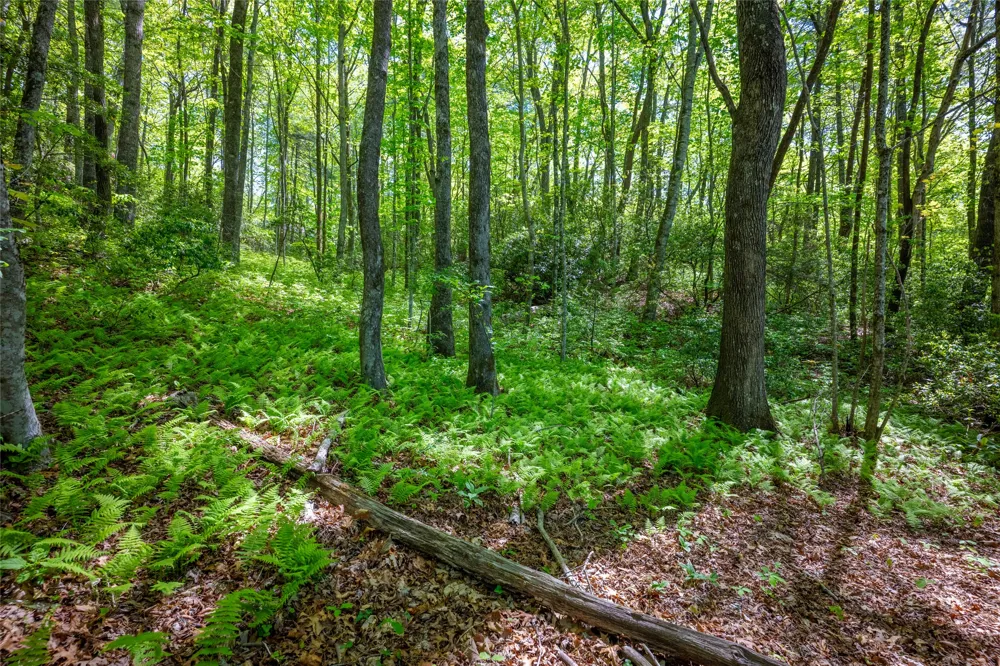 1923 Cold Mountain Road Lake Toxaway, NC 28747