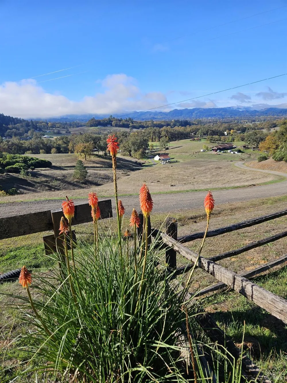 3970 Canyon Road Willits, CA 95490