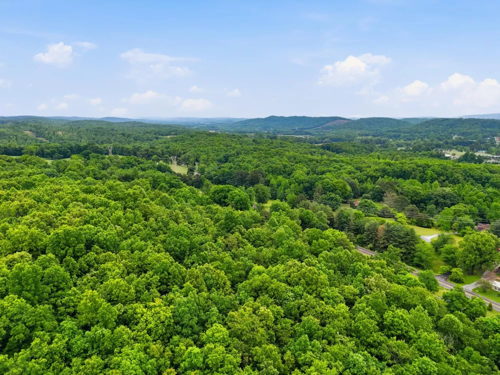 1301 River Road Decatur, TN 37322