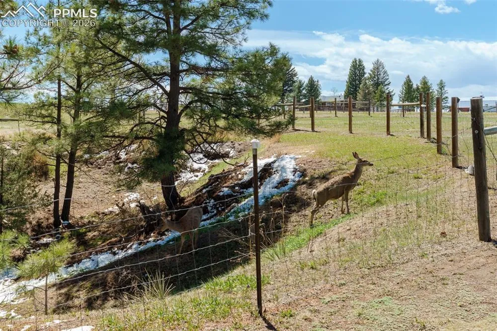 1851 Buttercup Road Elizabeth, CO 80107