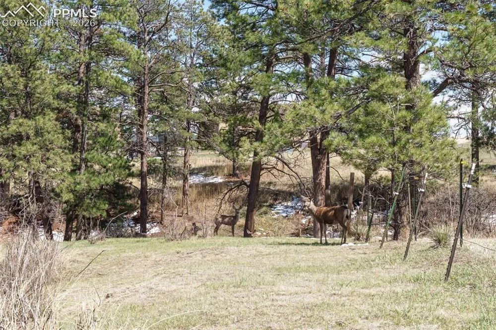 1851 Buttercup Road Elizabeth, CO 80107