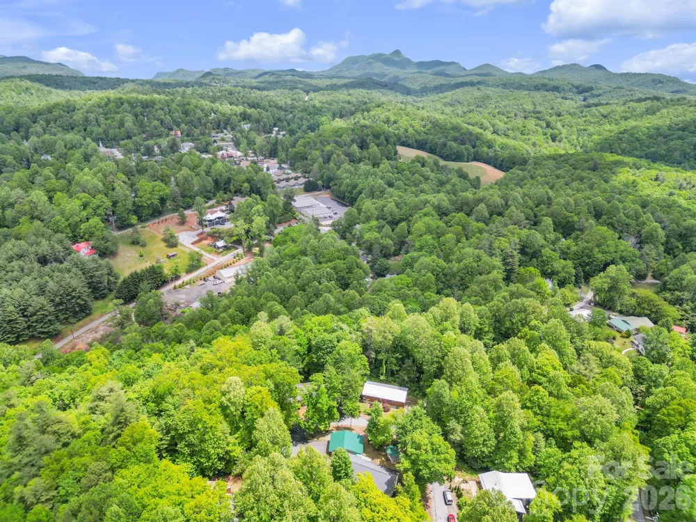 189 Friendly Circle Saluda, NC 28773