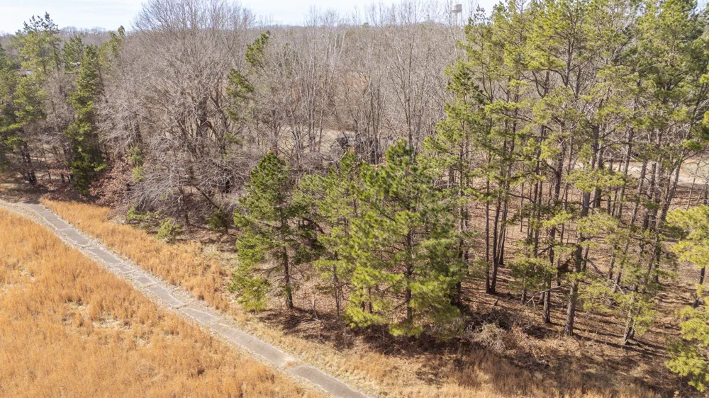 0 Treadwell Prong Rd Linden, TN 37096