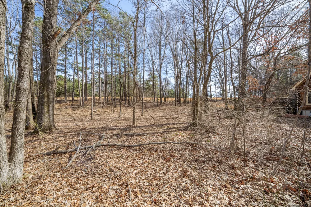 0 Treadwell Prong Rd Linden, TN 37096