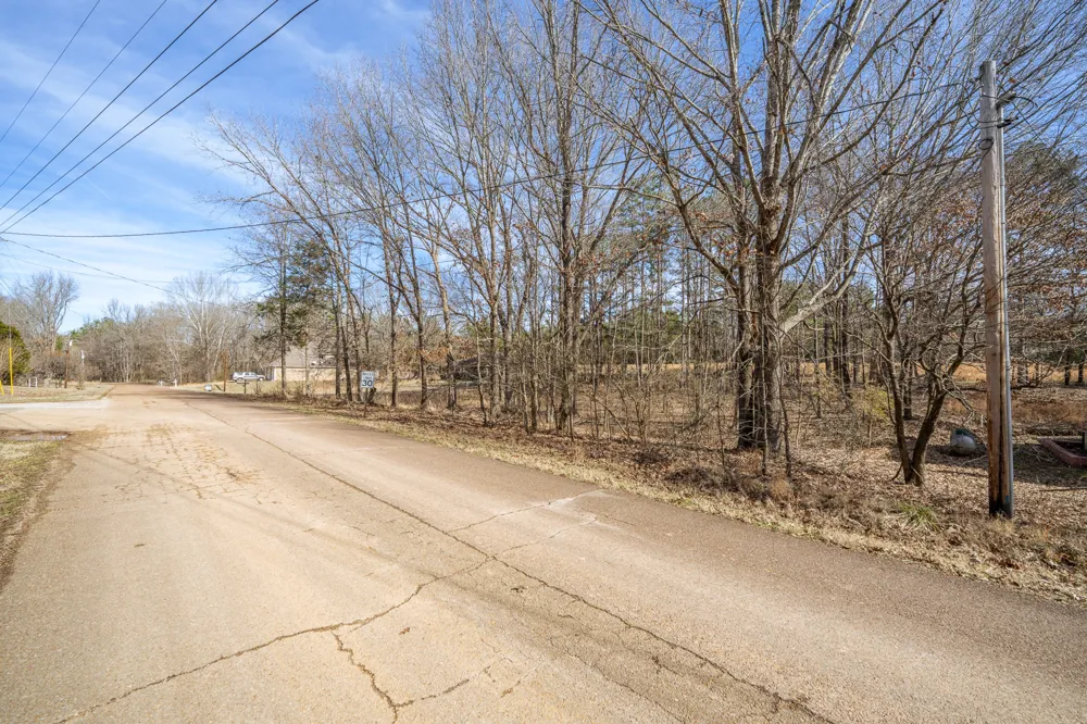 0 Treadwell Prong Rd Linden, TN 37096