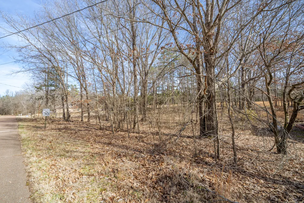 0 Treadwell Prong Rd Linden, TN 37096