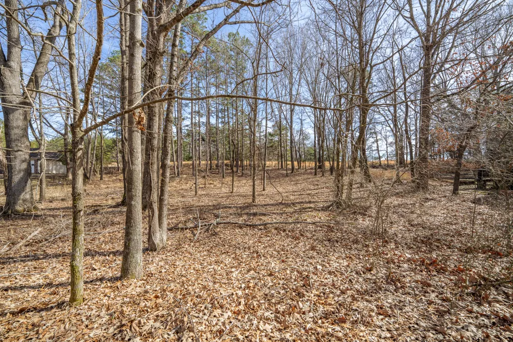 0 Treadwell Prong Rd Linden, TN 37096