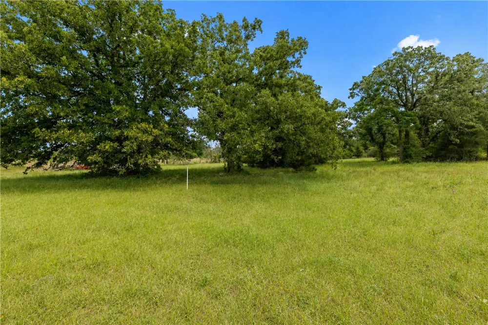 3508 Dick Barnes Loop Bedias, TX 77831