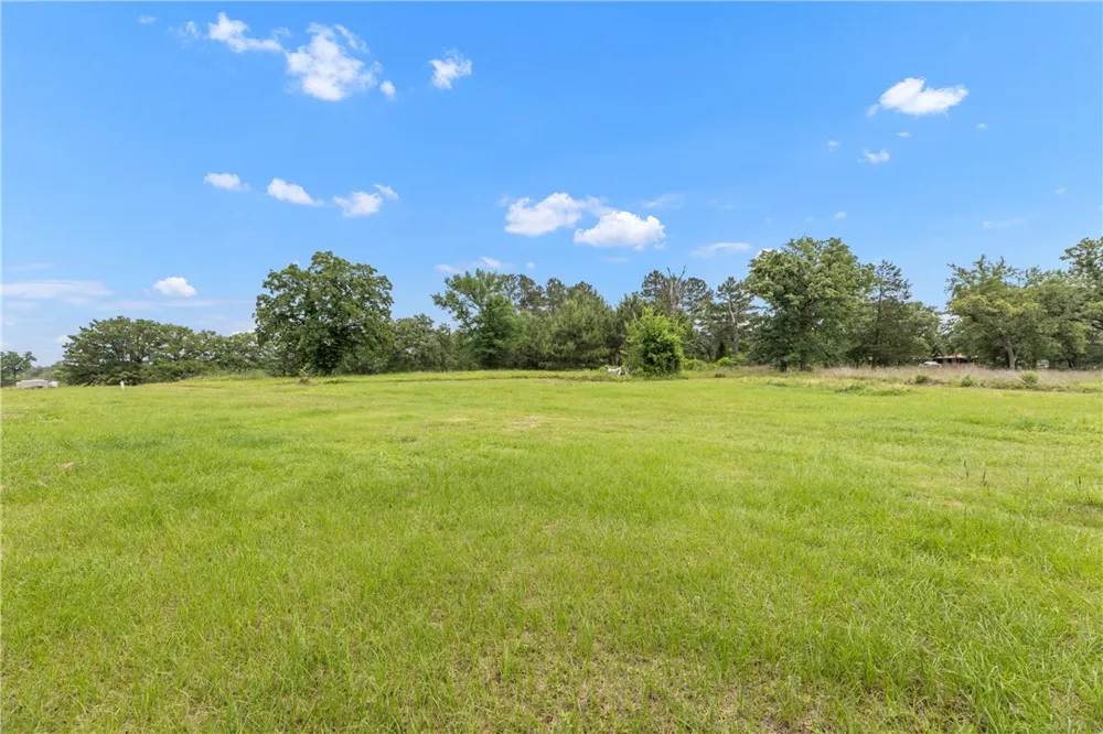 3508 Dick Barnes Loop Bedias, TX 77831
