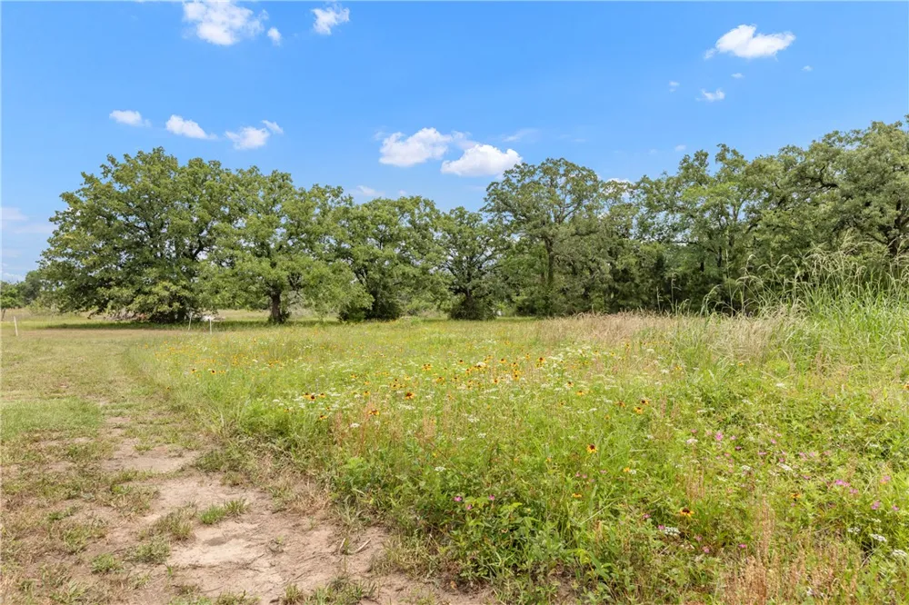 3508 Dick Barnes Loop Bedias, TX 77831