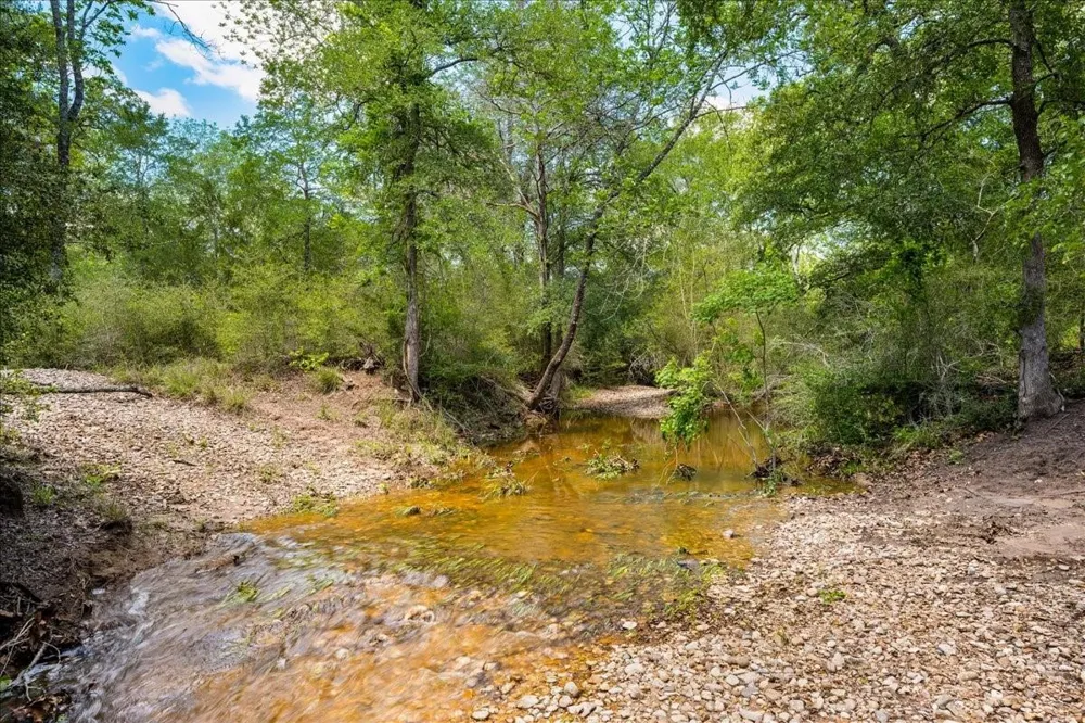 2516 Klimek Road Fayetteville, TX 78940