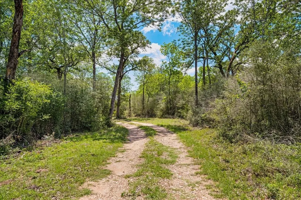 2516 Klimek Road Fayetteville, TX 78940