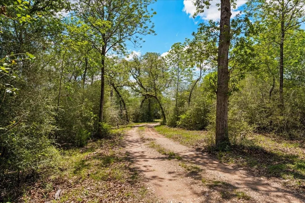 2516 Klimek Road Fayetteville, TX 78940