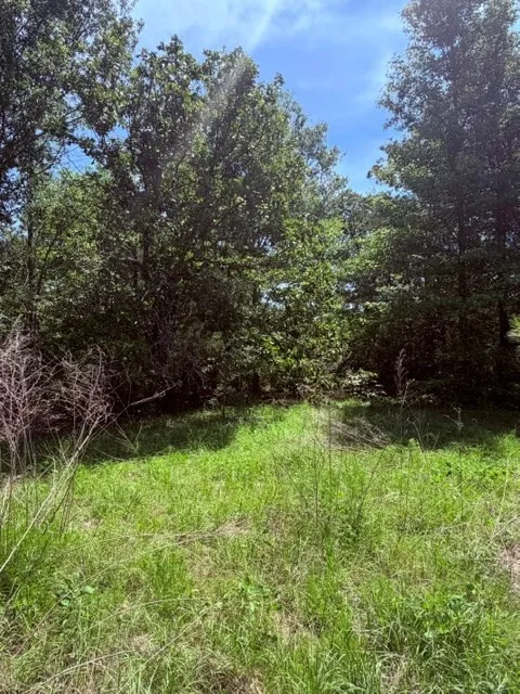 County Road 3105 Chandler, TX 75758