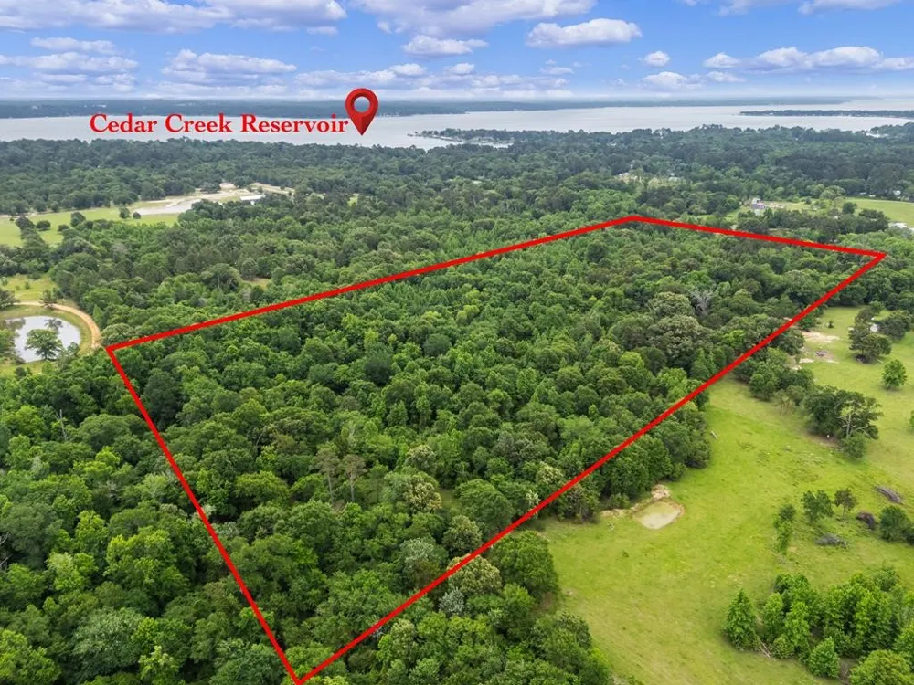 County Road 3105 Chandler, TX 75758
