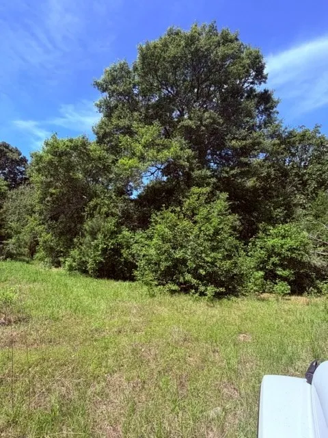 County Road 3105 Chandler, TX 75758