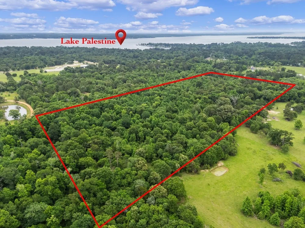 County Road 3105 Chandler, TX 75758
