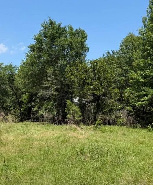 County Road 3105 Chandler, TX 75758
