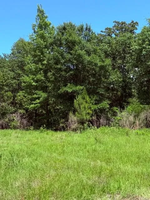 County Road 3105 Chandler, TX 75758