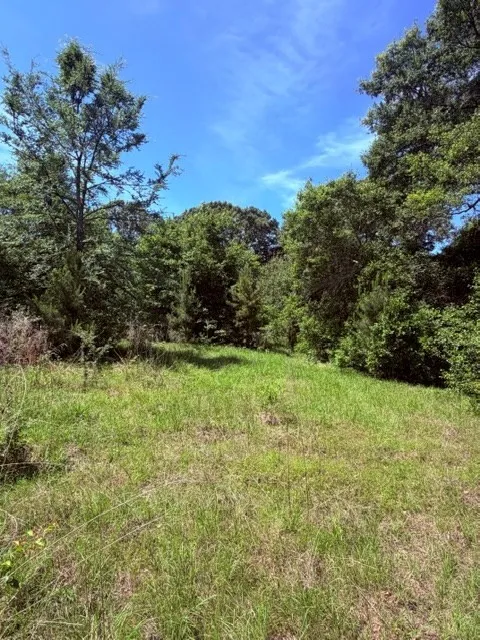 County Road 3105 Chandler, TX 75758