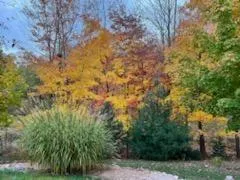 3975 Harbor Breeze Drive Norton Shores, MI 49441