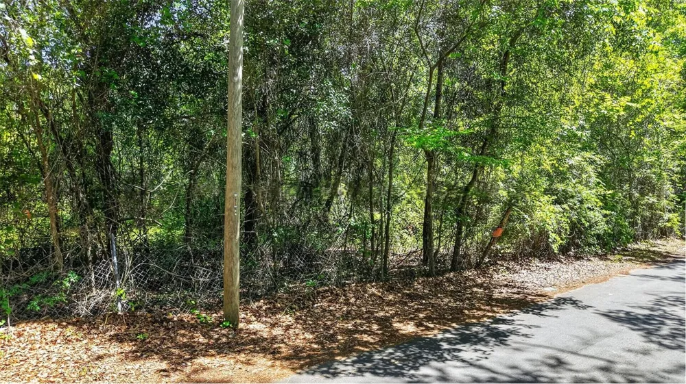 TBD SE 2ND AVENUE Gainesville, FL 32641