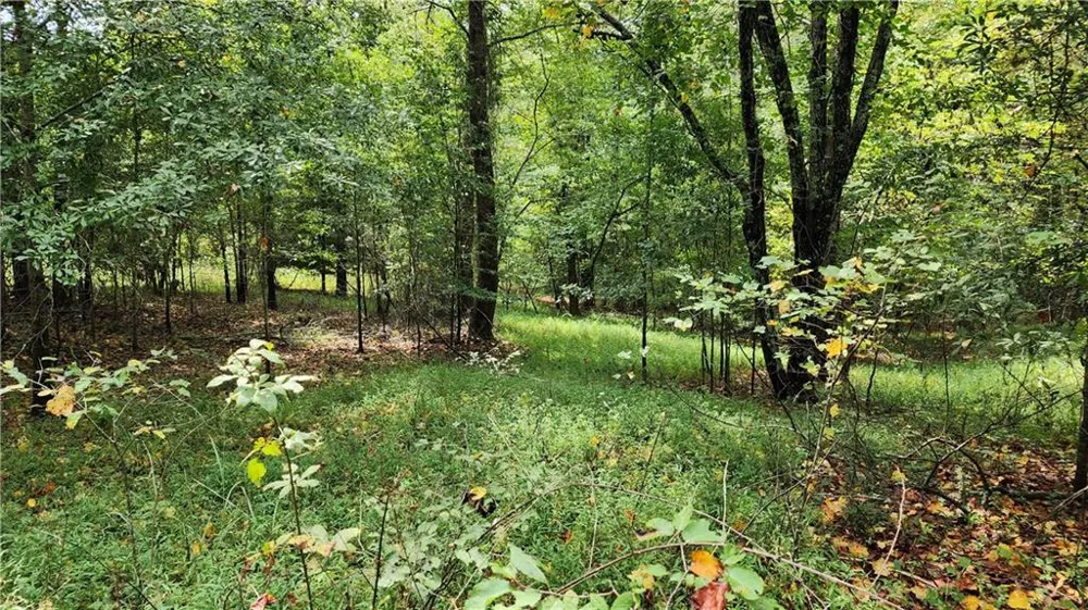 1661 Friendship Road Hoschton, GA 30548