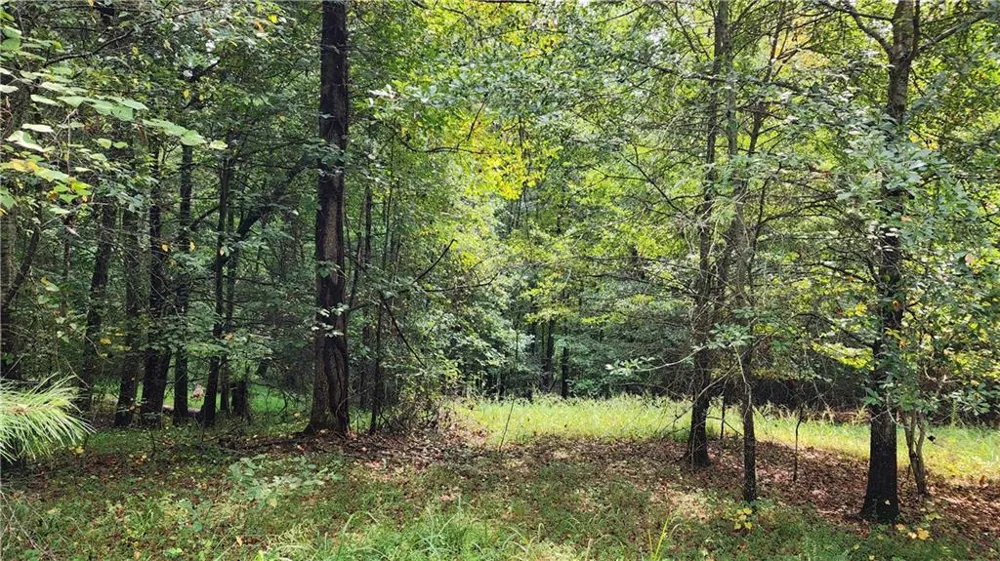 1661 Friendship Road Hoschton, GA 30548