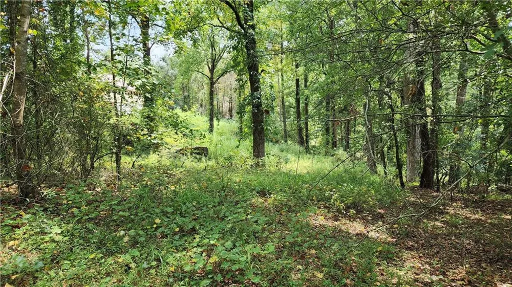1661 Friendship Road Hoschton, GA 30548