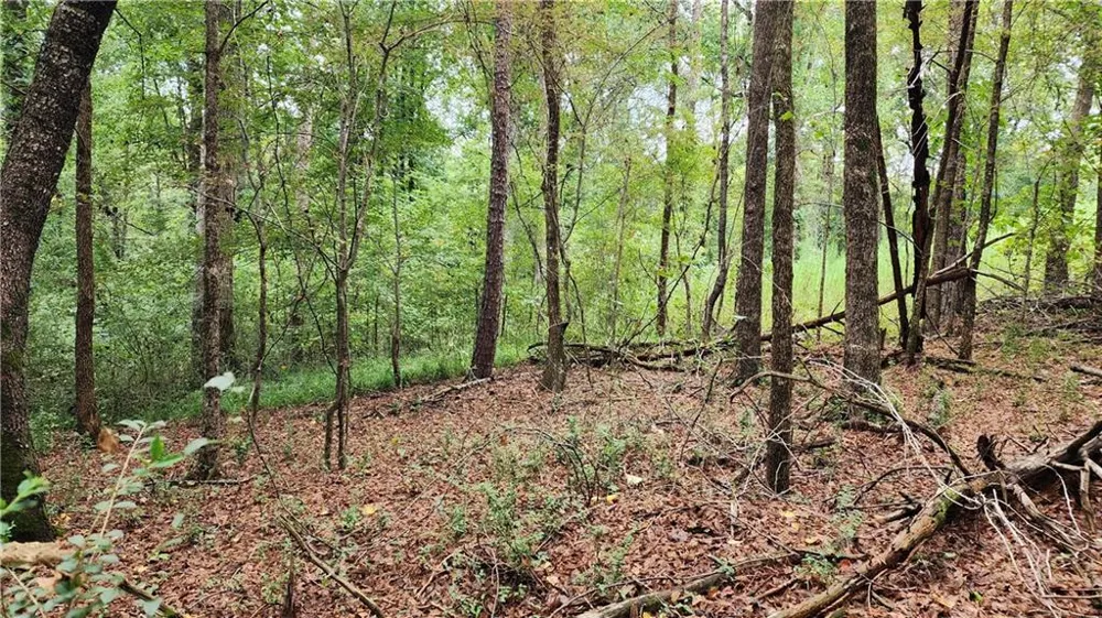 1661 Friendship Road Hoschton, GA 30548
