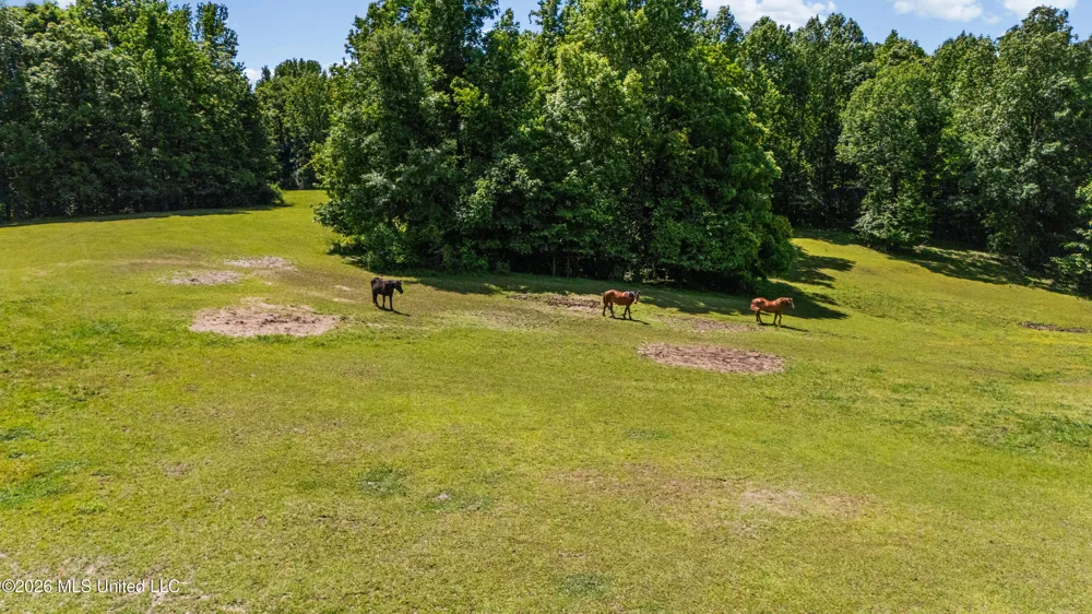 227 Christian College Road Senatobia, MS 38668