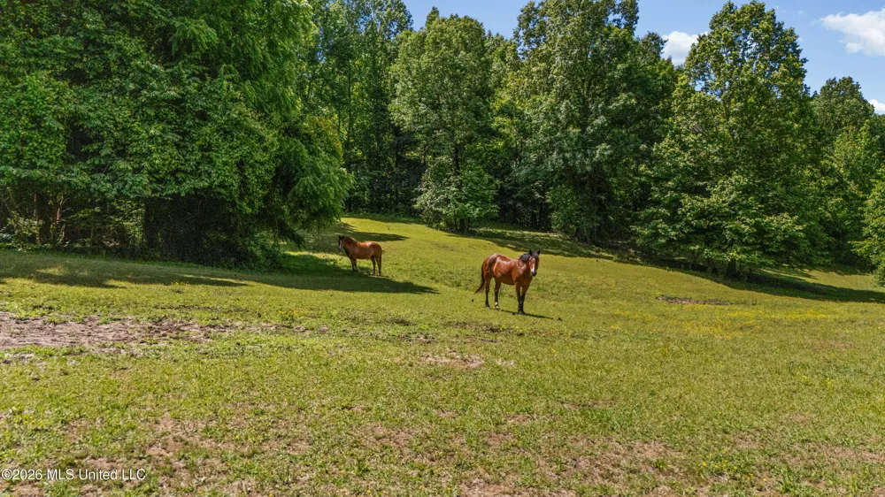 227 Christian College Road Senatobia, MS 38668