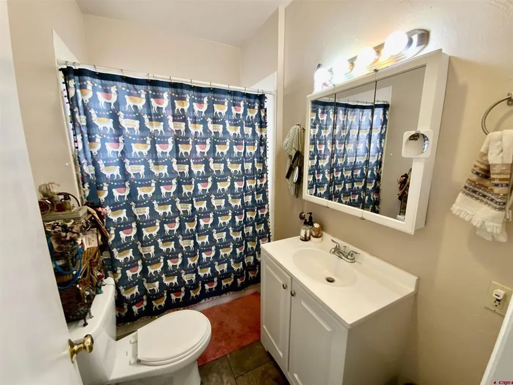 317 Wisconsin Street Gunnison, CO 81230