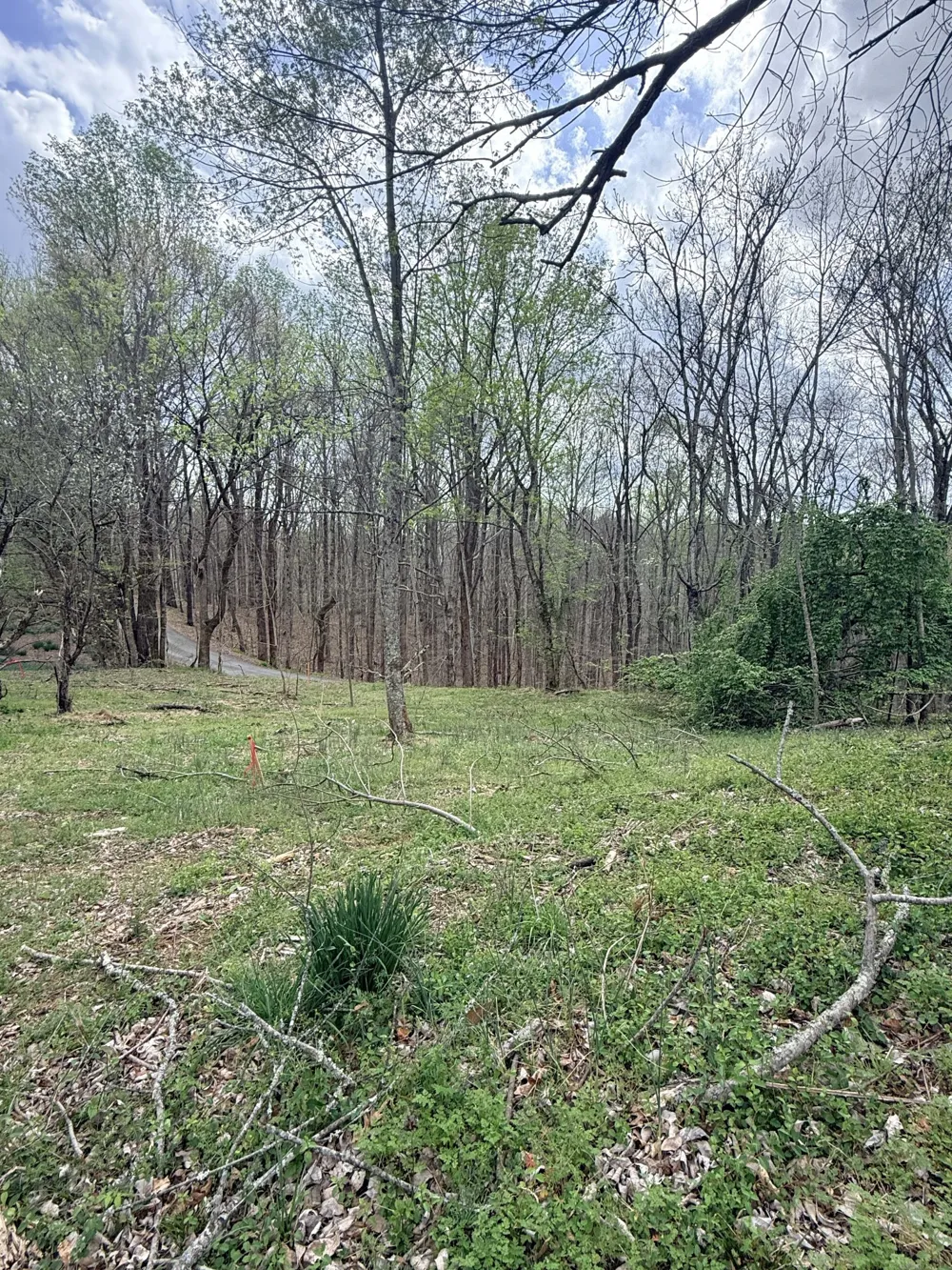 935 Sugar Tree Knob Rd Liberty, TN 37095