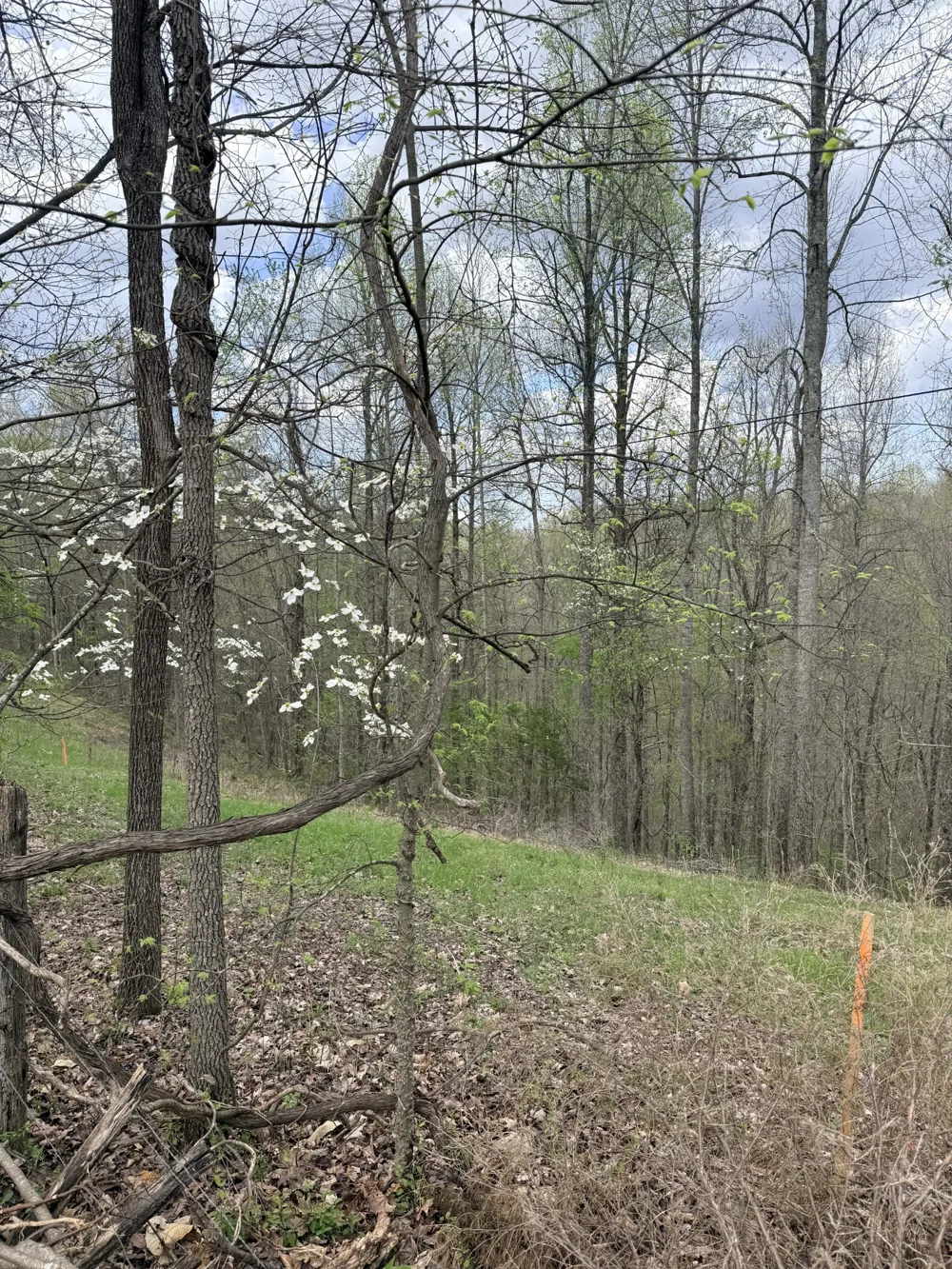 935 Sugar Tree Knob Rd Liberty, TN 37095