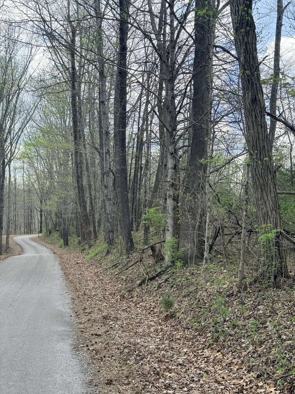 935 Sugar Tree Knob Rd Liberty, TN 37095