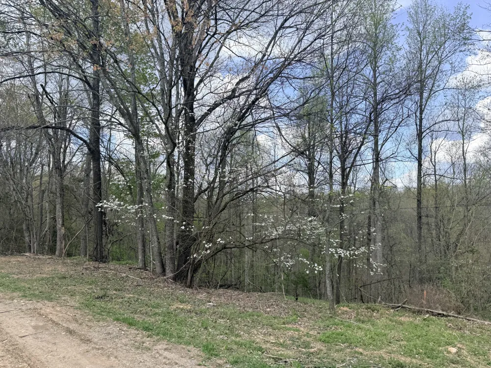 935 Sugar Tree Knob Rd Liberty, TN 37095