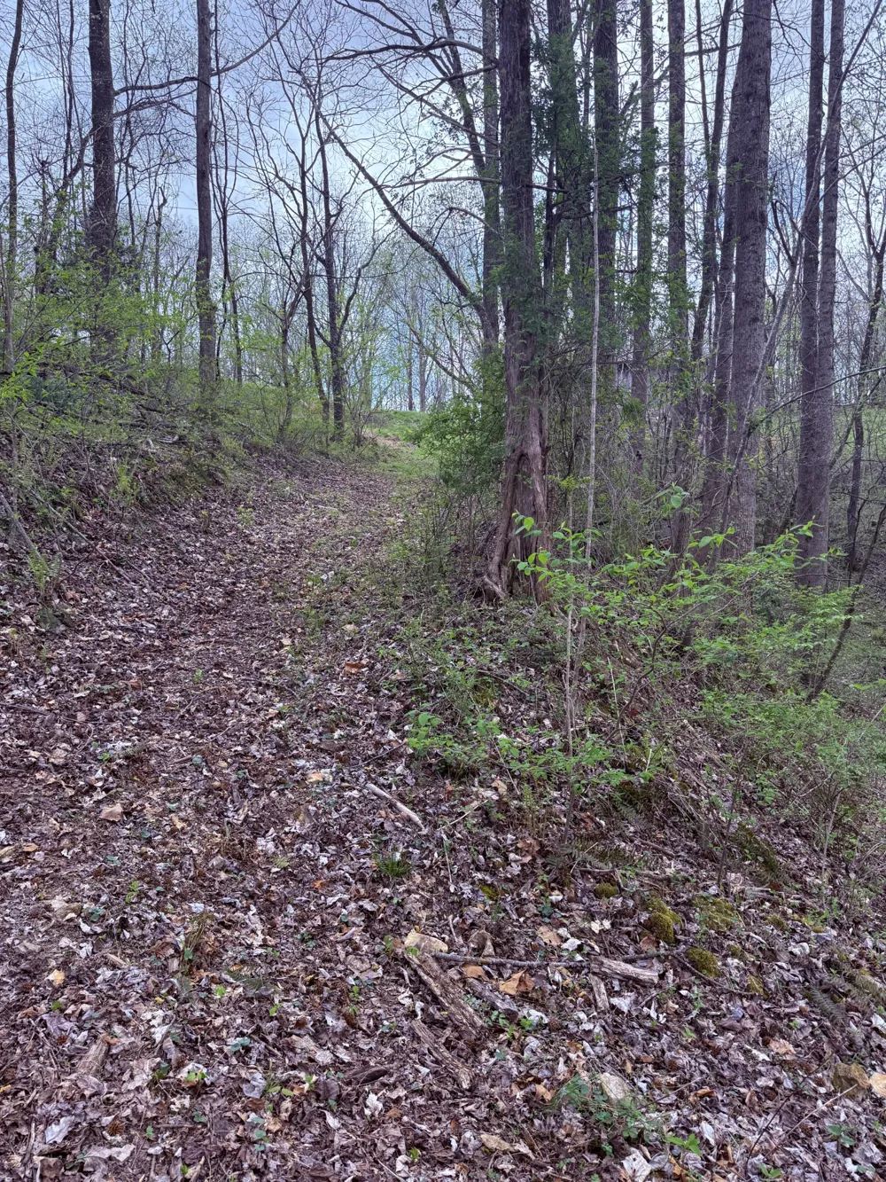 935 Sugar Tree Knob Rd Liberty, TN 37095