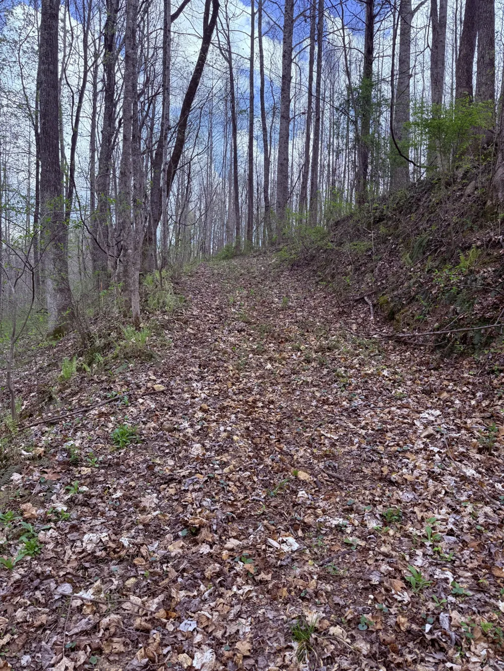 935 Sugar Tree Knob Rd Liberty, TN 37095