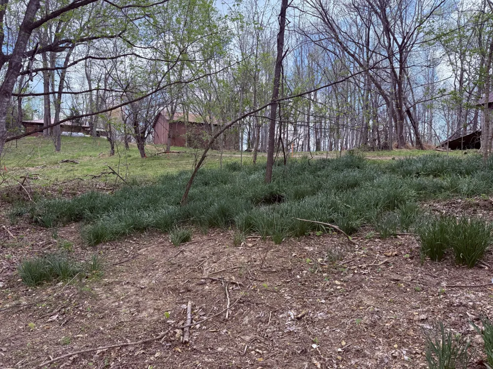935 Sugar Tree Knob Rd Liberty, TN 37095