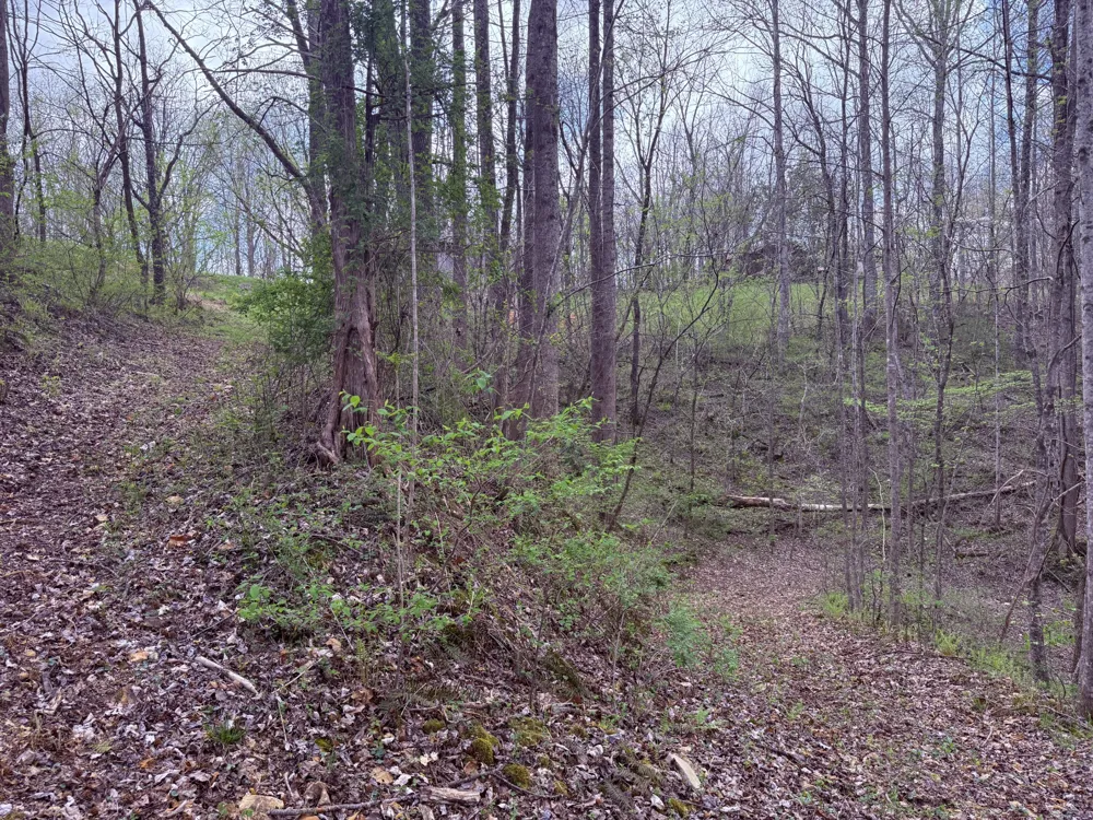 935 Sugar Tree Knob Rd Liberty, TN 37095