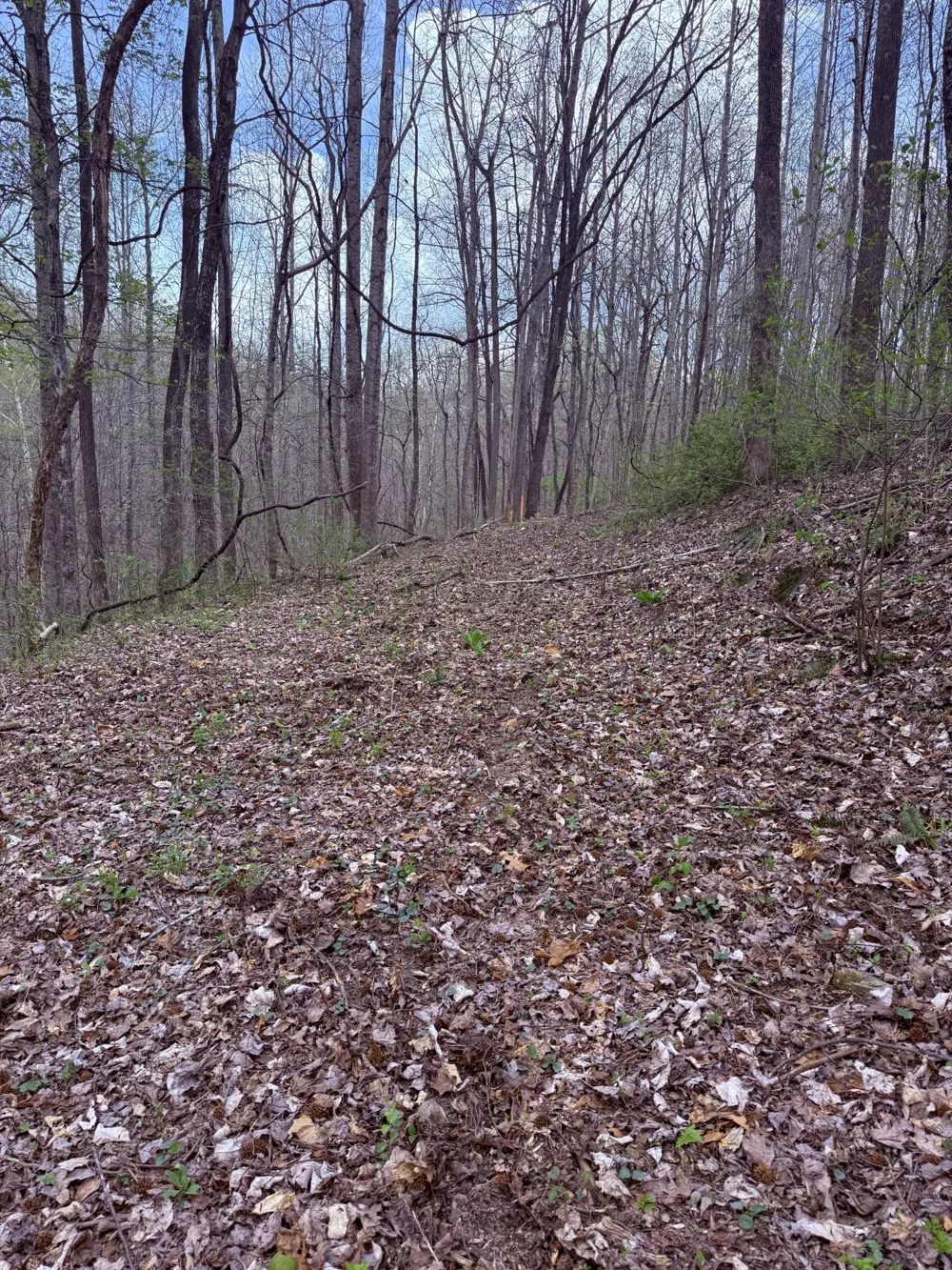 935 Sugar Tree Knob Rd Liberty, TN 37095