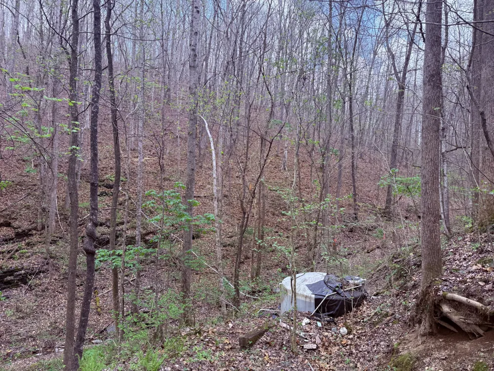 935 Sugar Tree Knob Rd Liberty, TN 37095