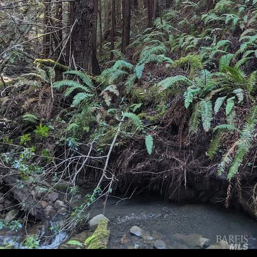 22090 Lyons Court Jenner, CA 95450