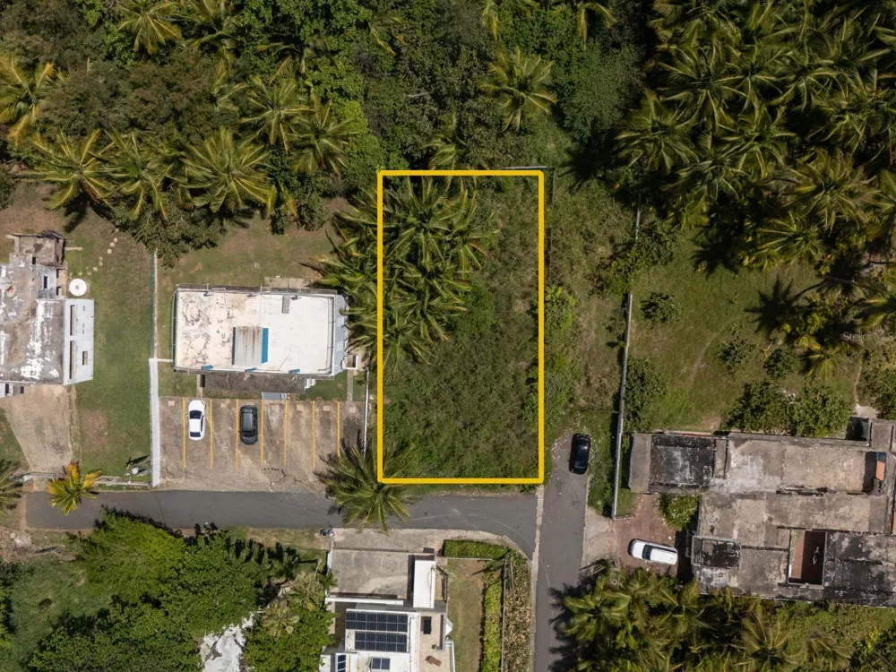 16 DELFIN CAP DE MAR Vega Alta, PR 00692
