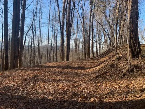 Biltmore Circle