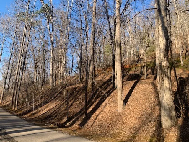 Biltmore Circle Bryson City, NC 28713